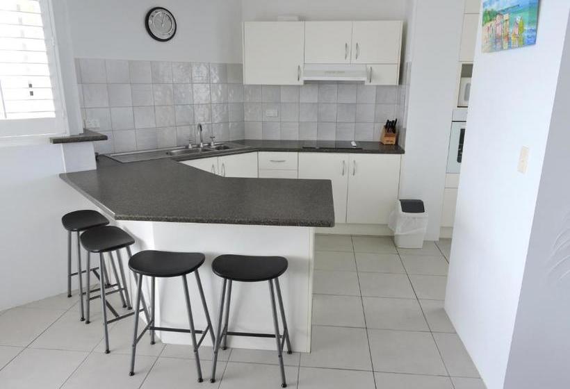 Rainbow Commodore Coolangatta