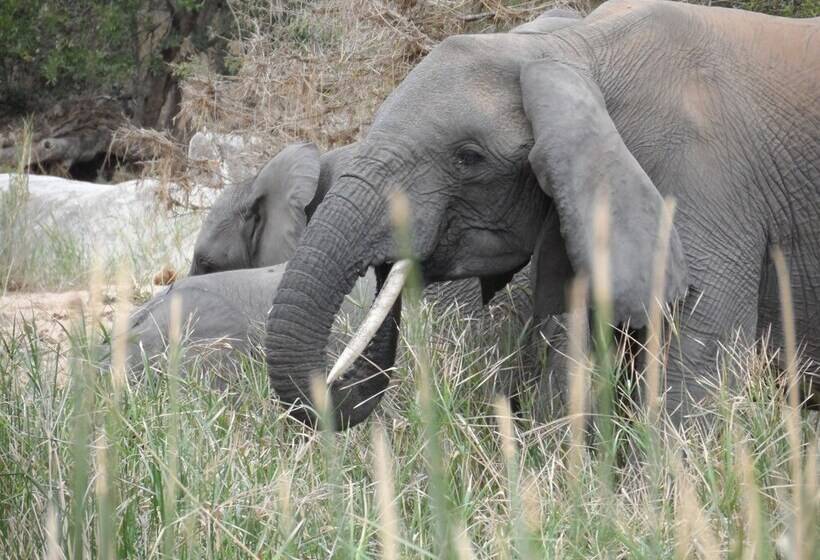 Shikwari Nature Reserve