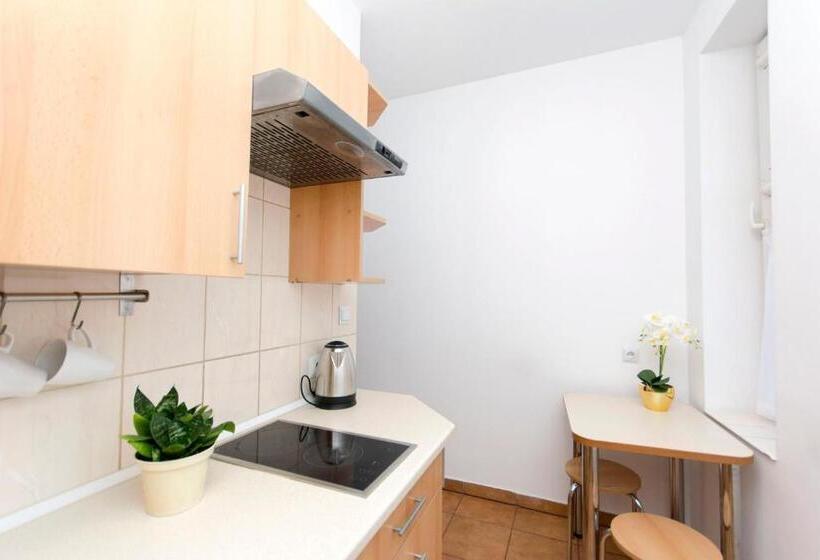 هاستل Akademikus Toruń