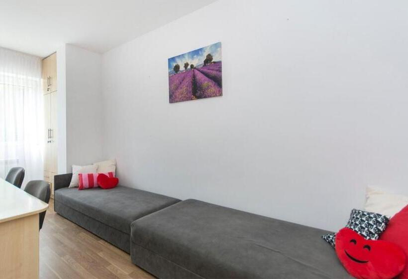 هاستل Akademikus Toruń