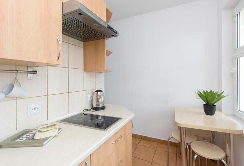 هاستل Akademikus Toruń