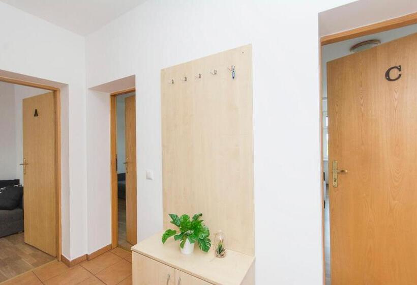 هاستل Akademikus Toruń