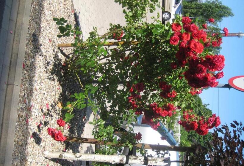 הוסטל Baza Noclegowa Mistral