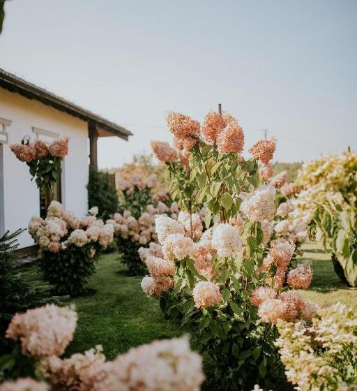 הוסטל Gościniec Winnica