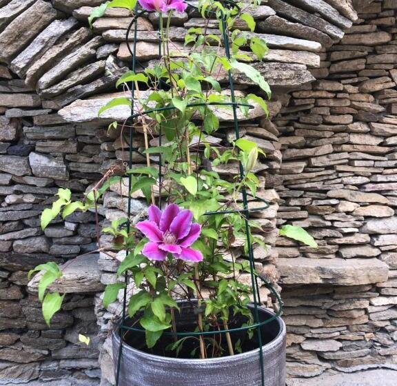 הוסטל Karczma Michelle