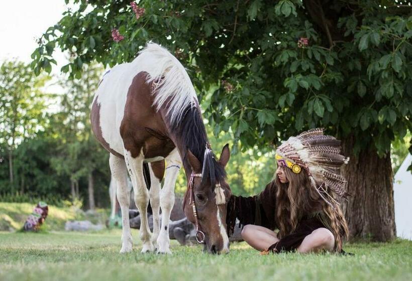 فندق صغير Pałac Pod Bocianim Gniazdem