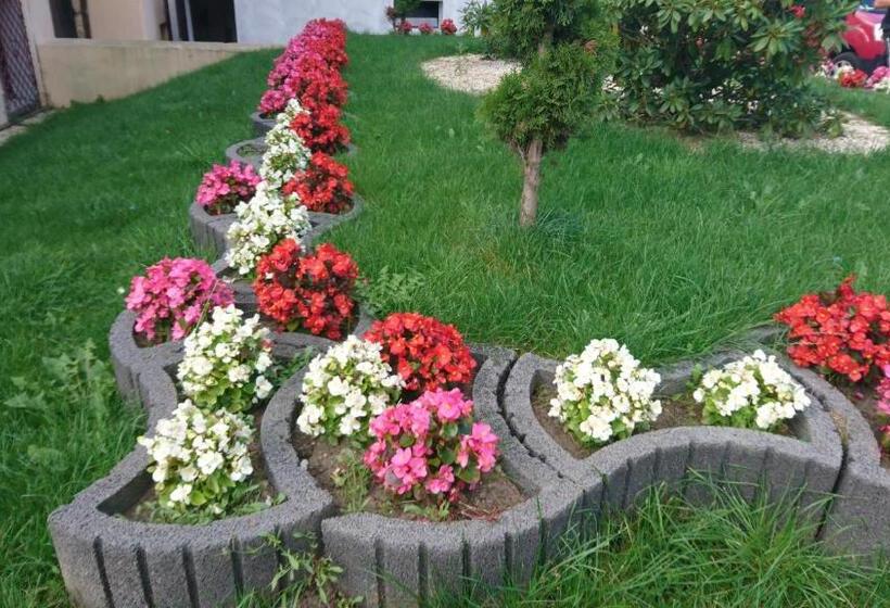 فندق صغير Pałac Pod Bocianim Gniazdem