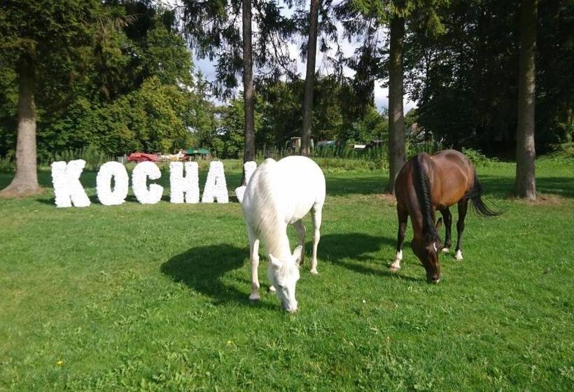 فندق صغير Pałac Pod Bocianim Gniazdem