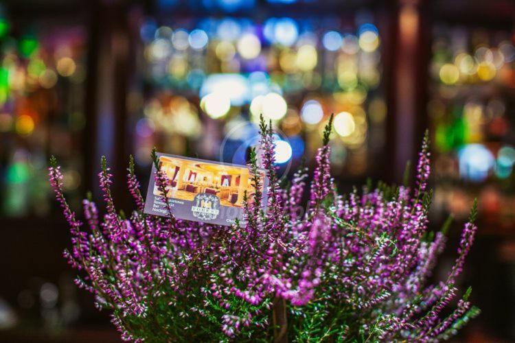 ユースホステル Zajazd Forest