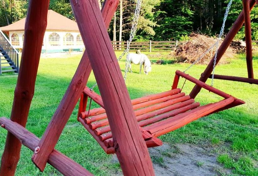 호스텔 Zajazd Gawrysiówka