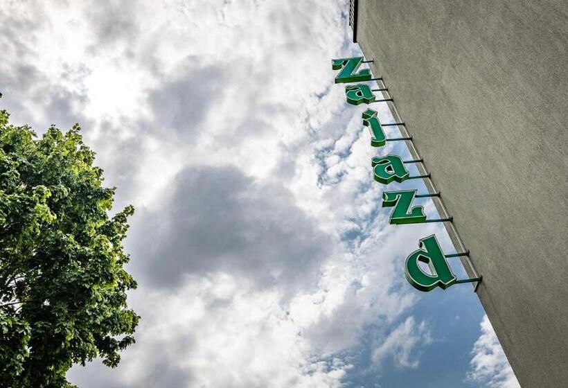 旅馆 Zajazd Michałowo