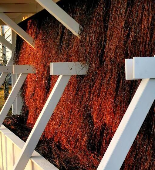 Общежитие Zajazd Podzamcze