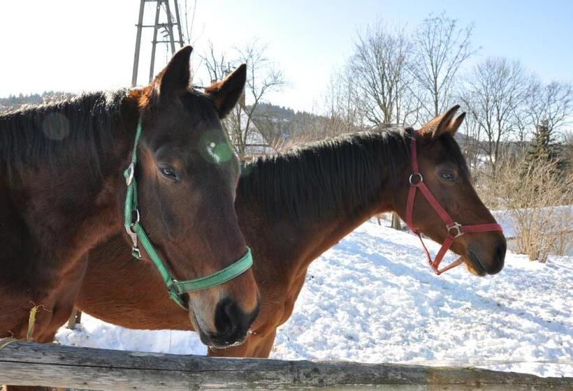 Apartamenty Rajd Jaworki