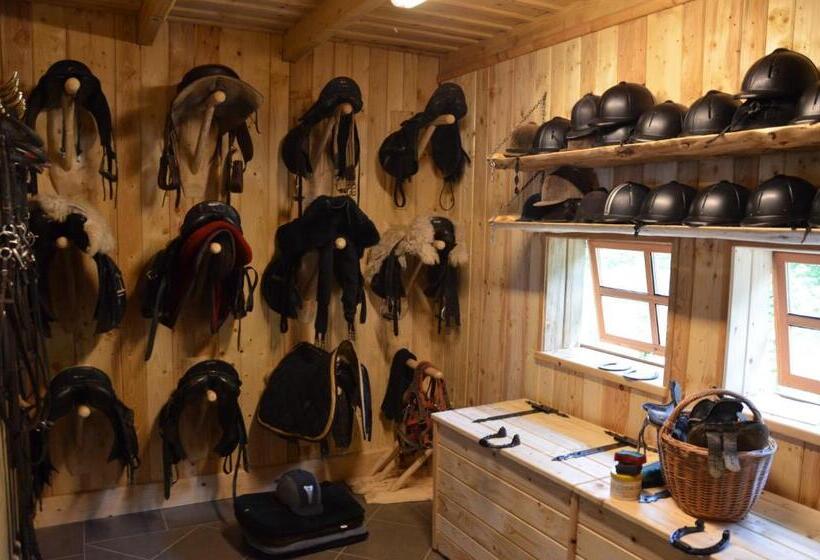 Apartamenty Rajd Jaworki