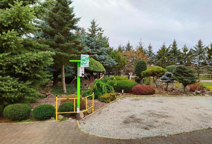 住宿加早餐  Agroturystyka Klekusiowo