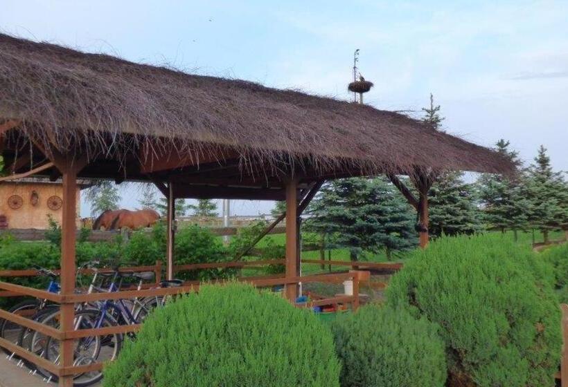 住宿加早餐  Agroturystyka Klekusiowo