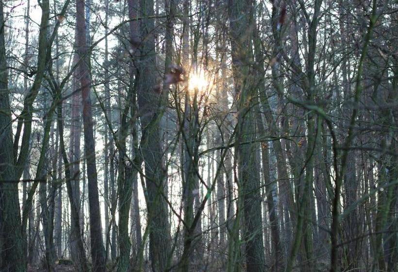 צימר Branica No. 25