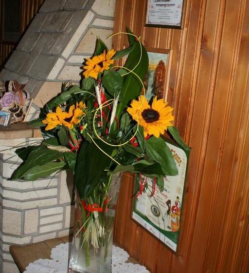 مبيت وإفطار Dom Wczasowy Krystyna