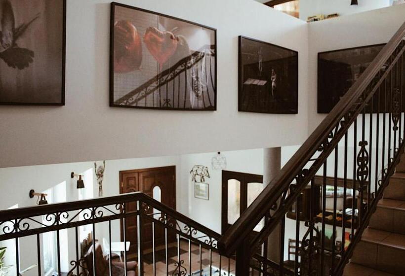 Bed and Breakfast Forrest