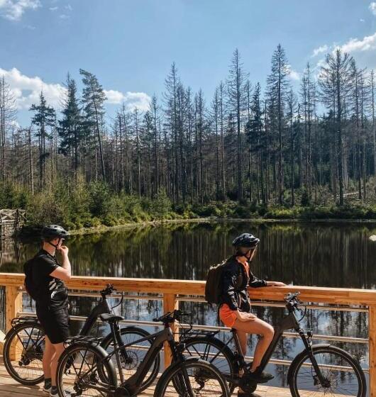 Bed and Breakfast Forrest