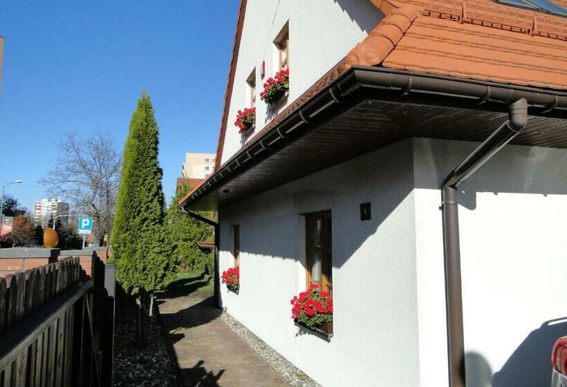 تختخواب و صبحانه Giszowiec Pokoje Gościnne Przyjazna 9