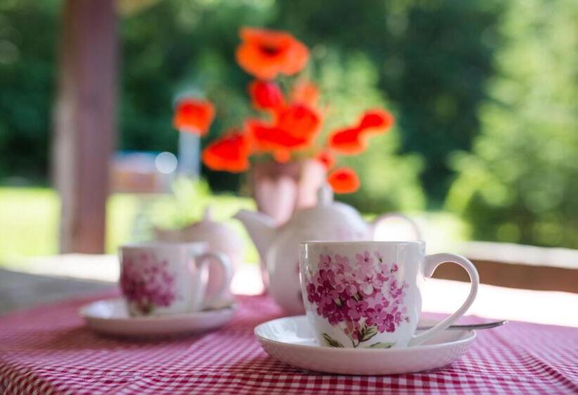 Bed and Breakfast Gościniec Malinówka