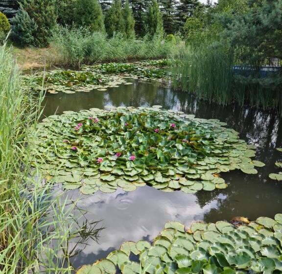 צימר Ik Pod Różą