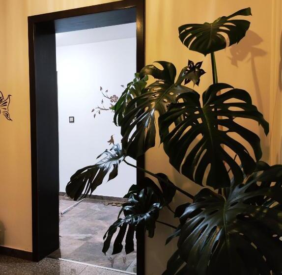 تختخواب و صبحانه Lawenda