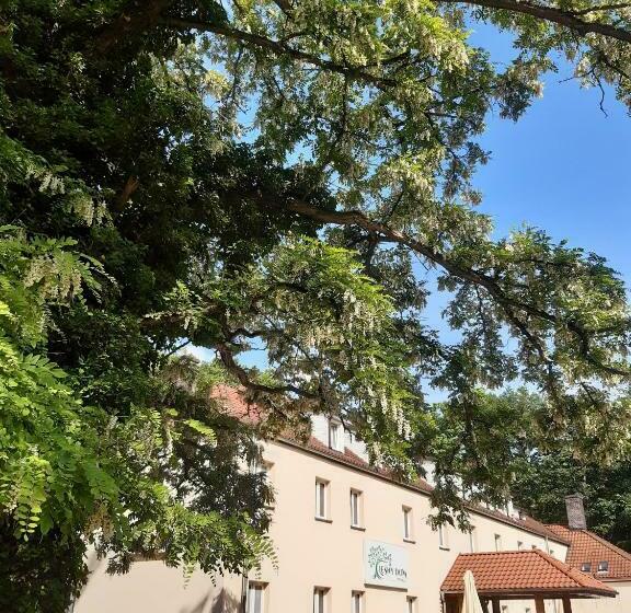 Bed and Breakfast Leśny Dom