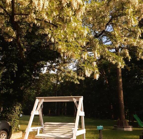 Bed and Breakfast Leśny Dom