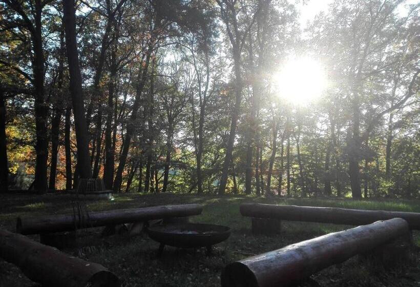 Bed and Breakfast Leśny Dom