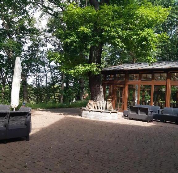 Bed and Breakfast Leśny Dom