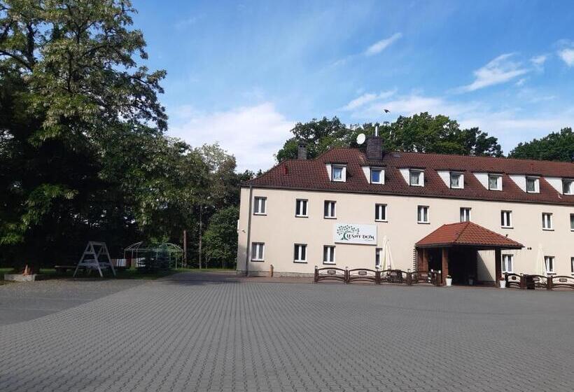 Bed and Breakfast Leśny Dom