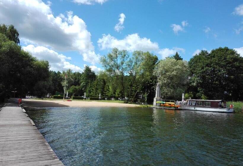 Bed and Breakfast Leśny Dom