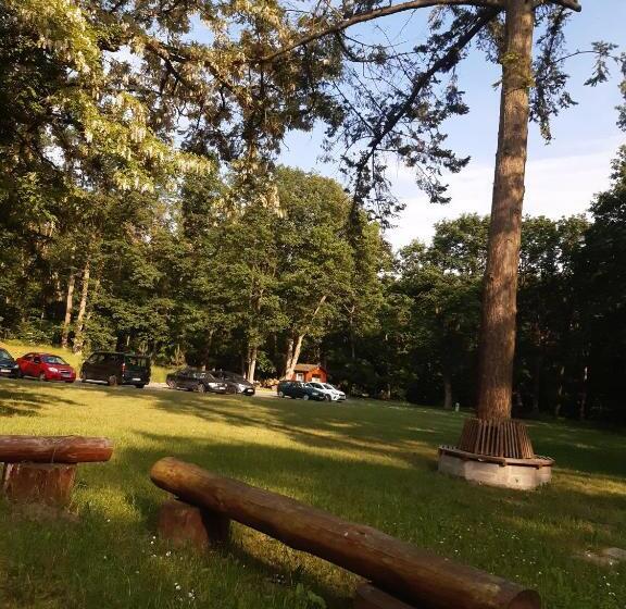 Bed and Breakfast Leśny Dom