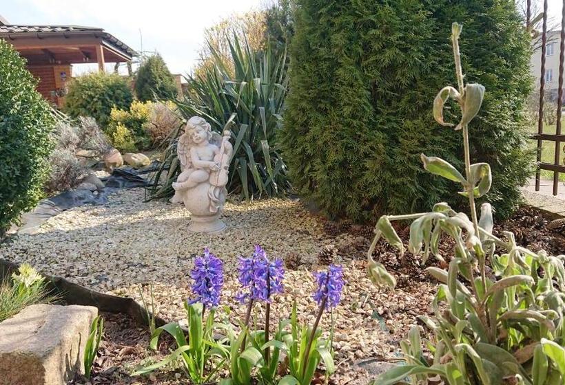 Bed and Breakfast Letnia Willa Jacuzzi & Sauna