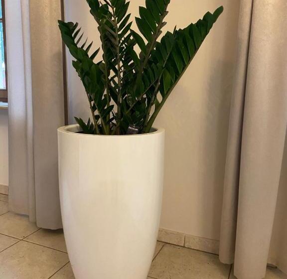 ベッドアンドブレックファースト Pałac Jabłonowo