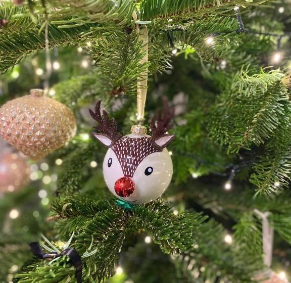 مبيت وإفطار Pałac Jabłonowo