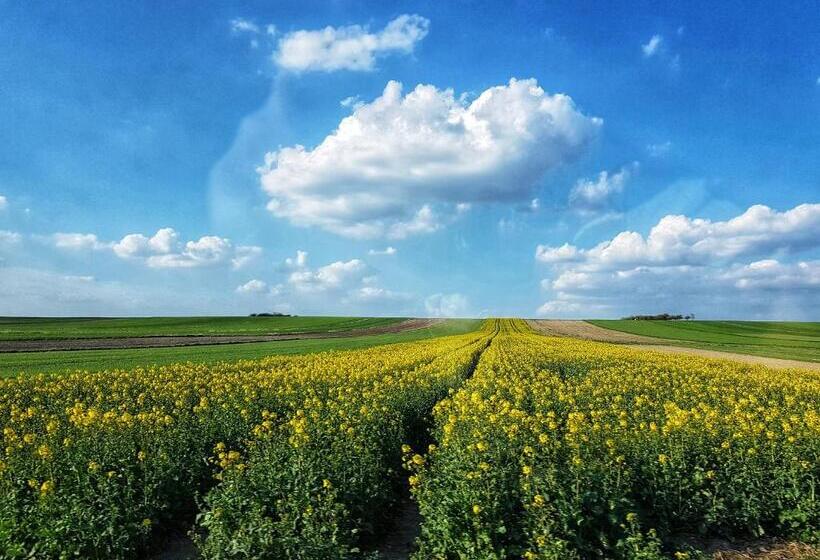 ベッドアンドブレックファースト Pałac W Krzelowie