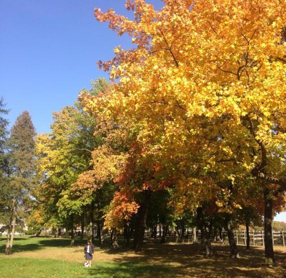 ベッドアンドブレックファースト Pałac W Krzelowie