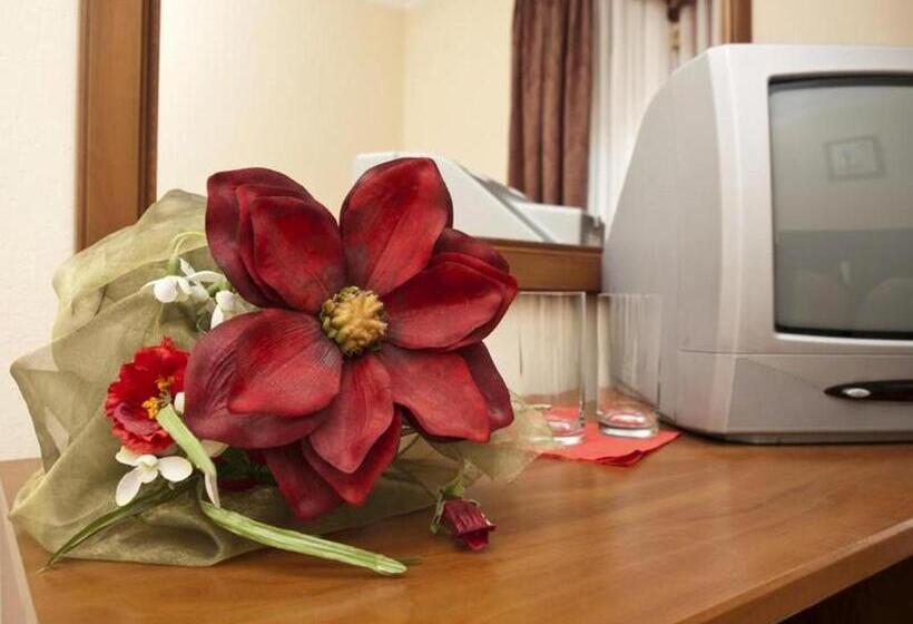 Bed and Breakfast Pałacyk W Lisewie