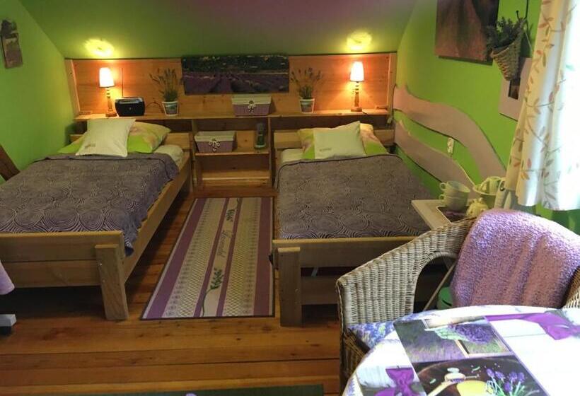 Bed and Breakfast Ranczo Frodyma