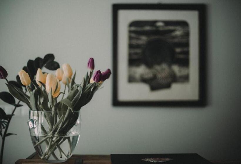 ベッドアンドブレックファースト Tulipanowy Gościniec