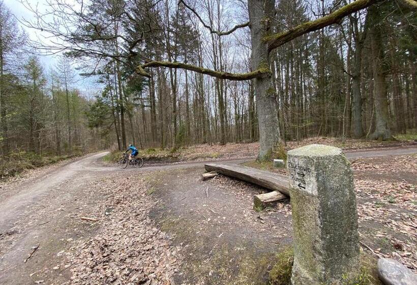 Bed and Breakfast Villa Holma Agroturystyka