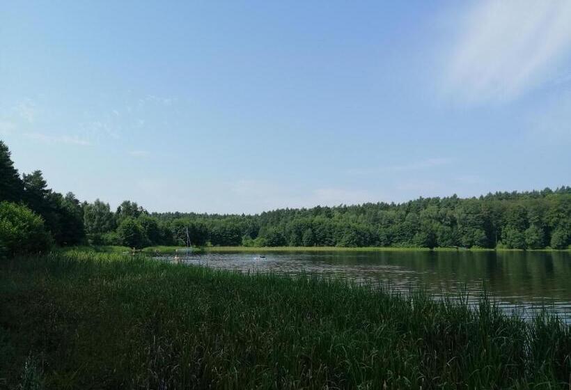 Bed and Breakfast Villa Holma Agroturystyka