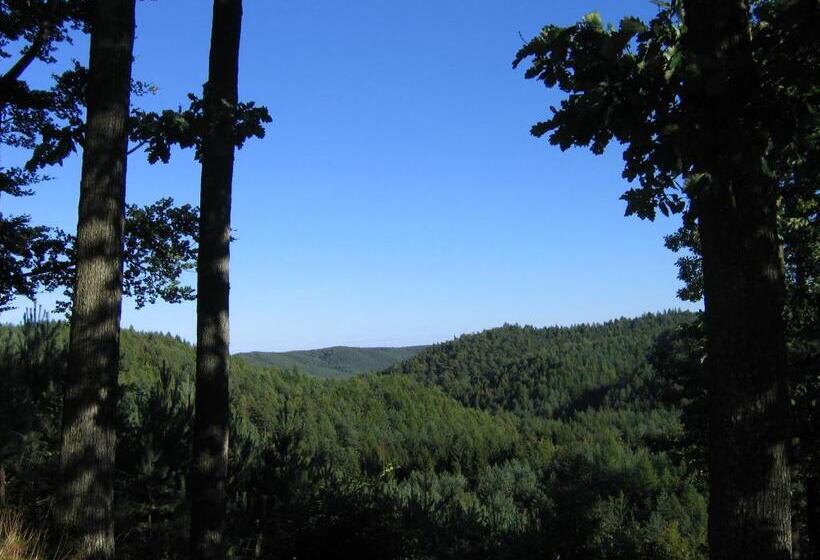 Bed and Breakfast Villa Holma Agroturystyka