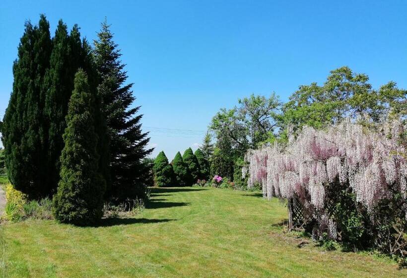 Bed and Breakfast Villa Holma Agroturystyka