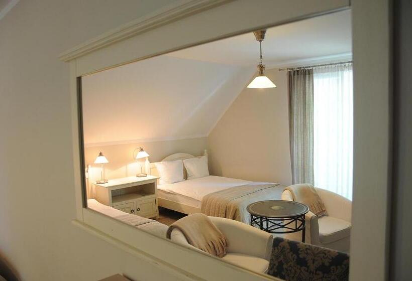 ベッドアンドブレックファースト Villa Park Wisełka Spa & Wellness