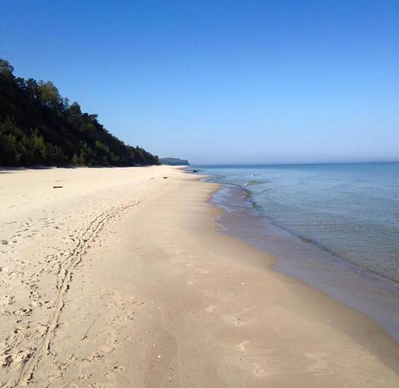 ベッドアンドブレックファースト Villa Park Wisełka Spa & Wellness