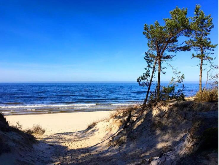 ベッドアンドブレックファースト Villa Park Wisełka Spa & Wellness